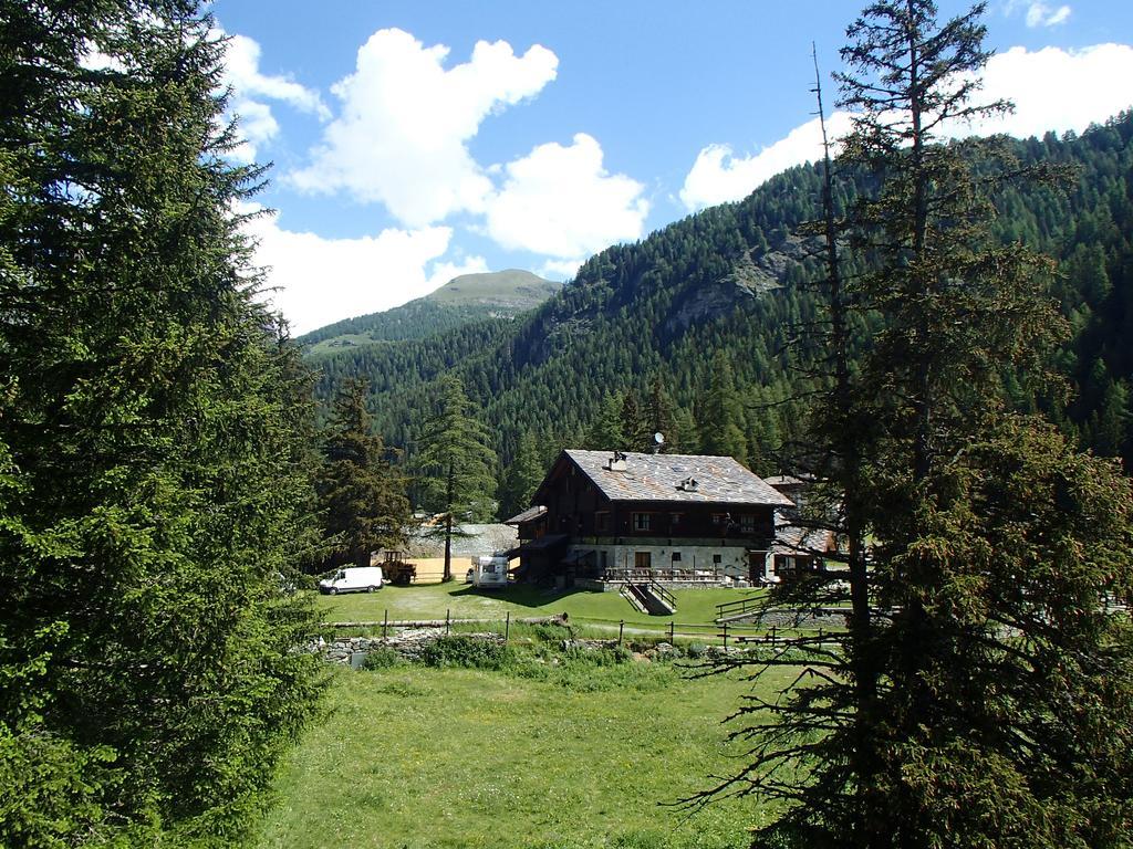 Le Rocher Hotel Champoluc Dış mekan fotoğraf