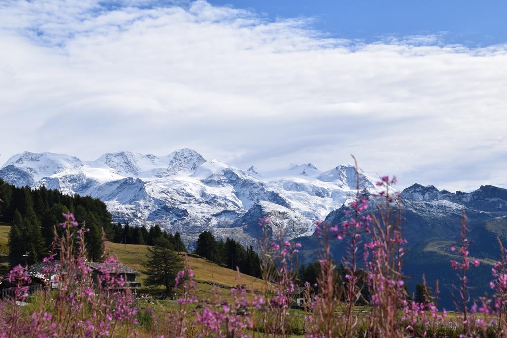 Le Rocher Hotel Champoluc Dış mekan fotoğraf